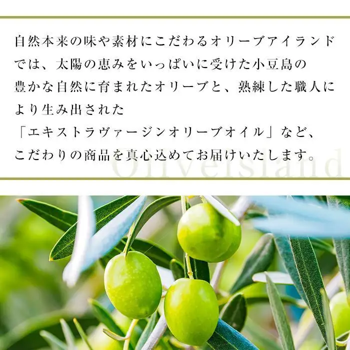 若摘果実EXVオリーブオイル・えごま油・あまに油120ml3本入り　ギフトセット