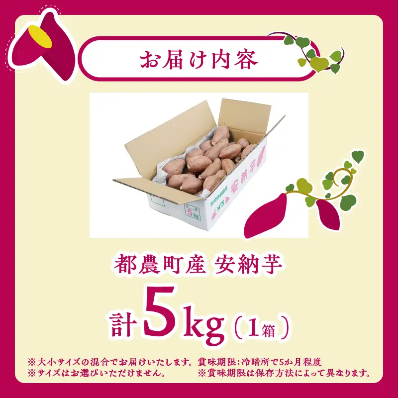 ≪先行予約≫都農町産安納芋(計5kg) 野菜 芋 イモ 国産_T016-0017