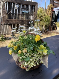 季節のおまかせ寄せ植え (a21-055)