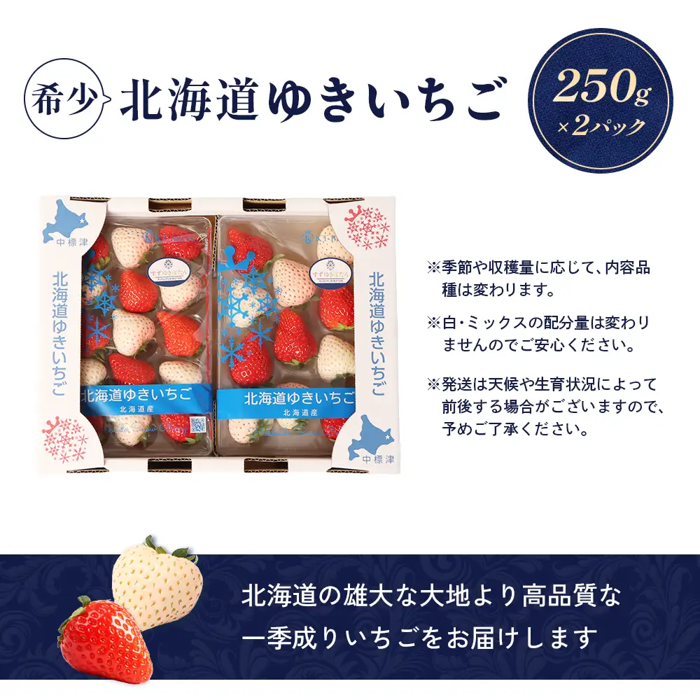 【2027年１月以降発送！】【北海道産】ゆきいちご（ゆきぼたん/すず）赤白MIX×2Pセット 250g×2 計500g 苺 白いちご 一季成りイチゴ 希少 ギフト お取り寄せ ふるさと納税 北海道 中標津【5900302】