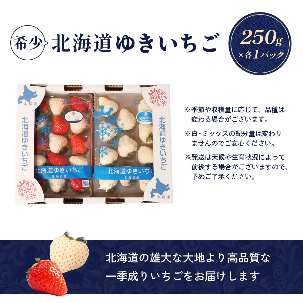 【2027年１月以降発送！】【北海道産】ゆきいちご（ゆきぼたん/すず）白×MIX 2Pセット 各250g×2 計500g 苺 白いちご 一季成りイチゴ 希少 ギフト お取り寄せ ふるさと納税 北海道 中標津町【5900202】