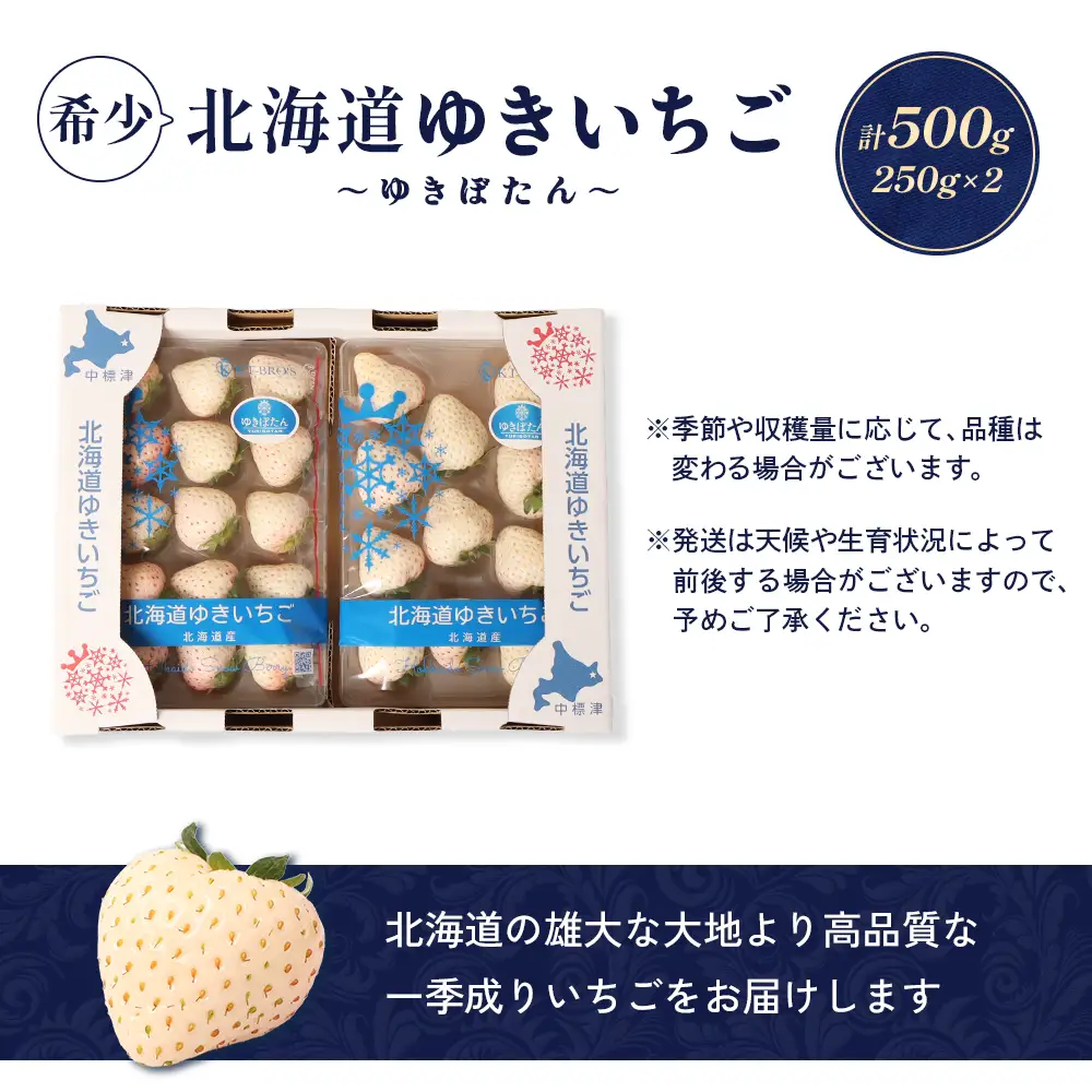 【2027年１月以降発送！】【北海道産】ゆきいちご（白いちご） 2Pセット 250g×2 計500g 苺 イチゴ 白いちご 一季成りイチゴ ゆきぼたん パールホワイト 希少 高級 ギフト お取り寄せ ふるさと納税 北海道 中標津【59001】