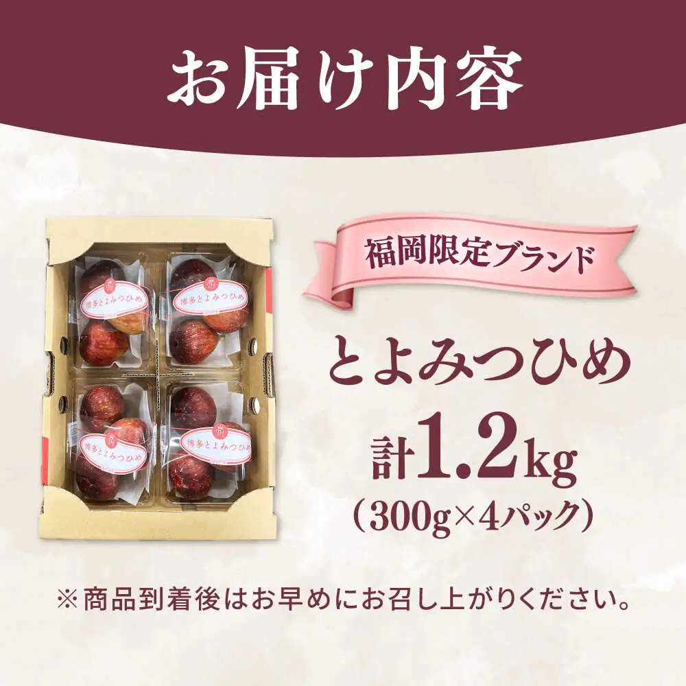 いちじく とよみつひめ 秀品 1.2kg [ADAY001] いちじく