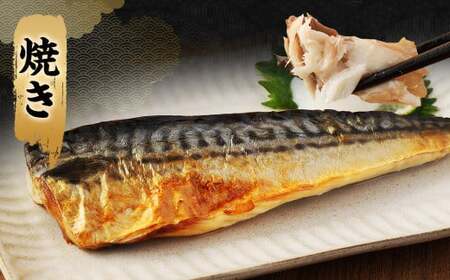 【2ヶ月定期便】【訳あり規格外】 業務用 無添加塩さば 1.9kg