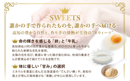 田野屋塩二郎プチシューラスク 10枚入り×2箱＆田野屋塩二郎アーモンドサブレ・ブリック 15枚入り×2箱