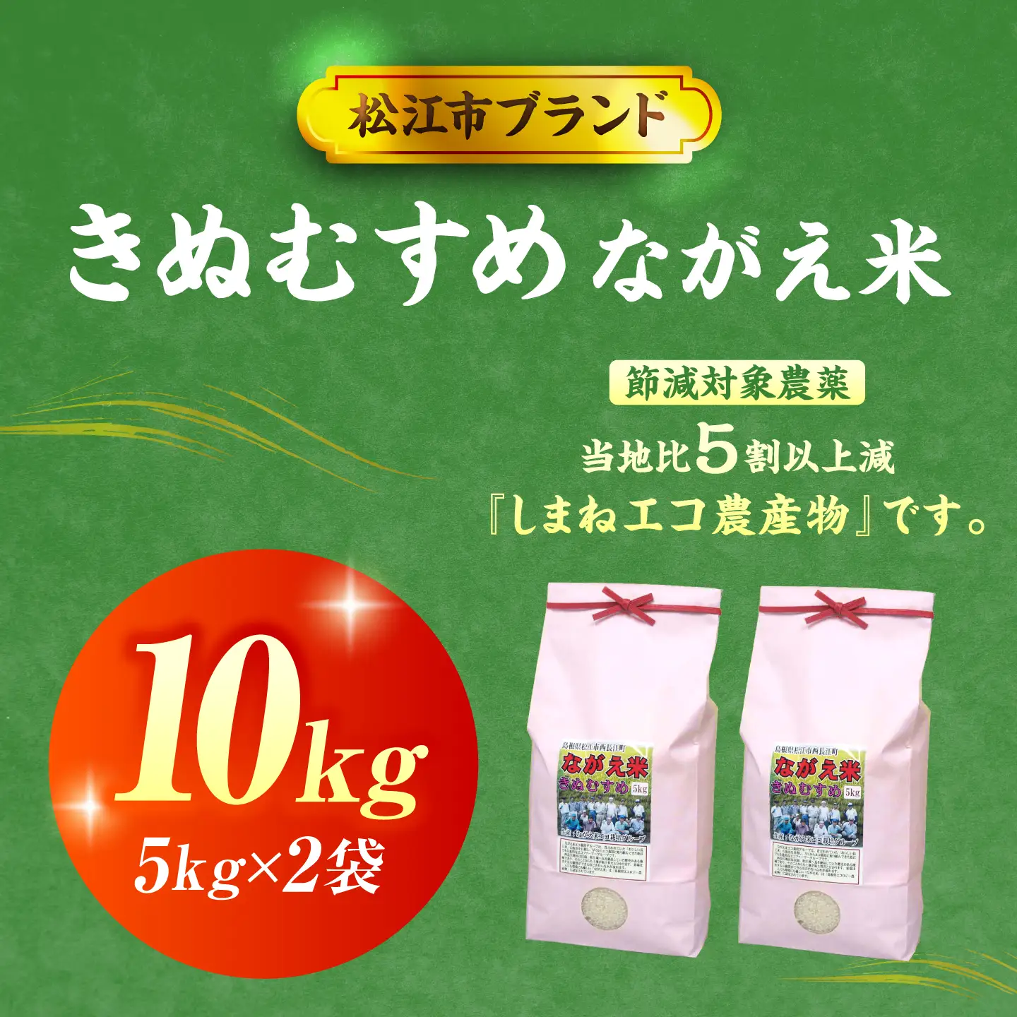 新米 きぬむすめ 10kg 令和8年産 新米[ALCG001]