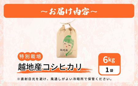 米 越地（こいち）産 特別栽培 コシヒカリ 令和5年産 6kg × 1袋[m24-a001]