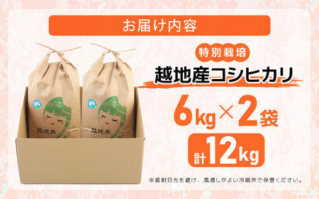 米 越地（こいち）産 特別栽培 コシヒカリ 令和5年産 計12kg（6kg × 2袋）[m24-b001]