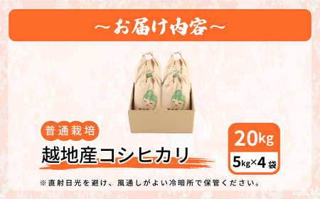 米 越地（こいち）産 コシヒカリ（普通栽培）令和5年産  計20kg（5kg × 4袋）[m24-c001]