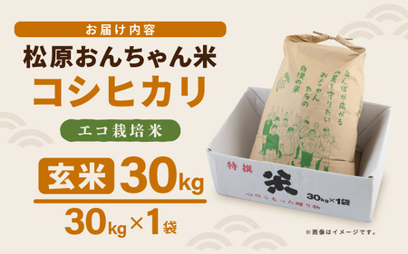 【先行予約】【令和7年産・新米】コシヒカリ（玄米）エコ栽培米 30kg（30kg×1袋）【2025年9月中旬以降順次発送予定】【福井県産 お米 ブランド米 玄米 精米 ご飯 おにぎり お弁当 和食】 [m26-d002]