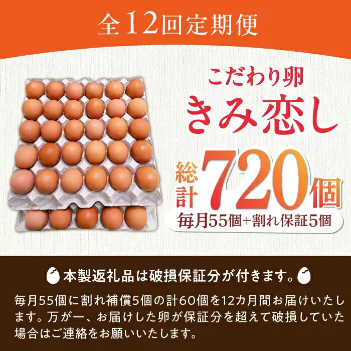 【12回定期便】きみ恋し 箱入り 60個（55個+割れ保証5個）×12ヶ月　総計720個  [AFAJ011]
