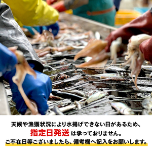 【産地直送】 三陸の旨い魚！季節の鮮魚便 2kg?3kg 《下処理あり》 おまかせ さかな おさかな 魚 鮮魚 新鮮 生魚 焼き魚 FISH ごはん 夕飯 おかず おつまみ 晩酌 米 丼 海産物 海鮮 魚介 魚介類 大船渡 三陸 岩手県 国産