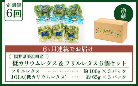 定期便 ≪6ヶ月連続お届け≫ 低カリウムレタス&フリルレタス　計6個セット 全6回 【福井県美浜町産】【野菜 生野菜 レタス サラダ サンドイッチ お弁当 水耕栽培 洗わず食べられる 時短 付け合わせ ダイエット ヘルシー】レタス フリルレタス 野菜 サラダ ダイエット ヘルシー [m40-c001]