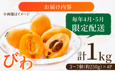 【★先行予約★ 2027年4月末発送開始】びわ 約250g(3-7個)×4パック / びわ [AFAB002]
