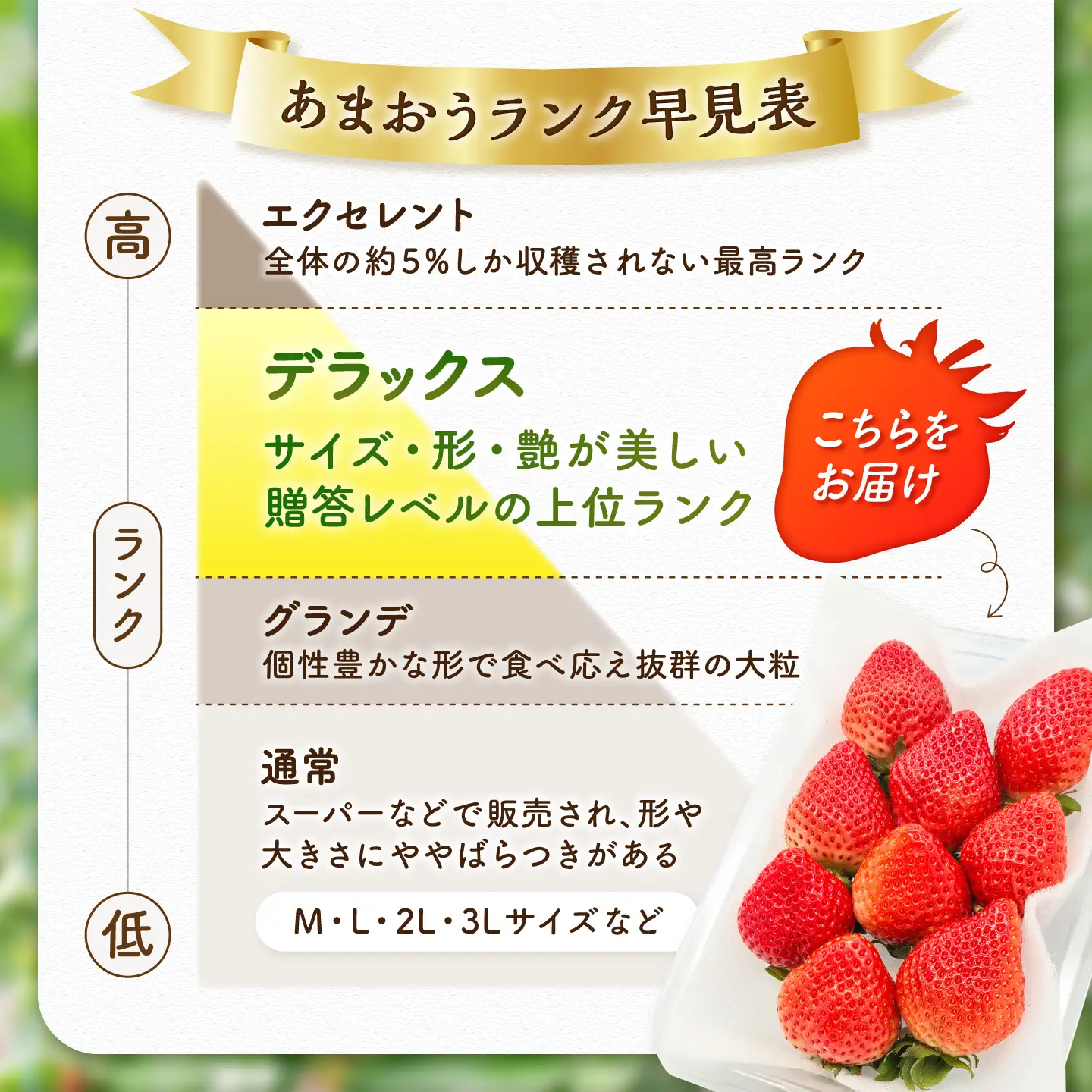 【★先行予約★ 2027年2月より発送】あまおう DX等級 4ケース（250g×8P）[AFAB005] いちご