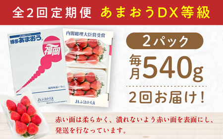 二回定期便 あまおう 270g×2【2月先行予約】[AFAB018] いちご