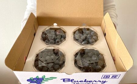 ブルーベリー フレッシュ ユーリカ大粒 朝摘み ブルーベリー【100g×4】【先行予約】