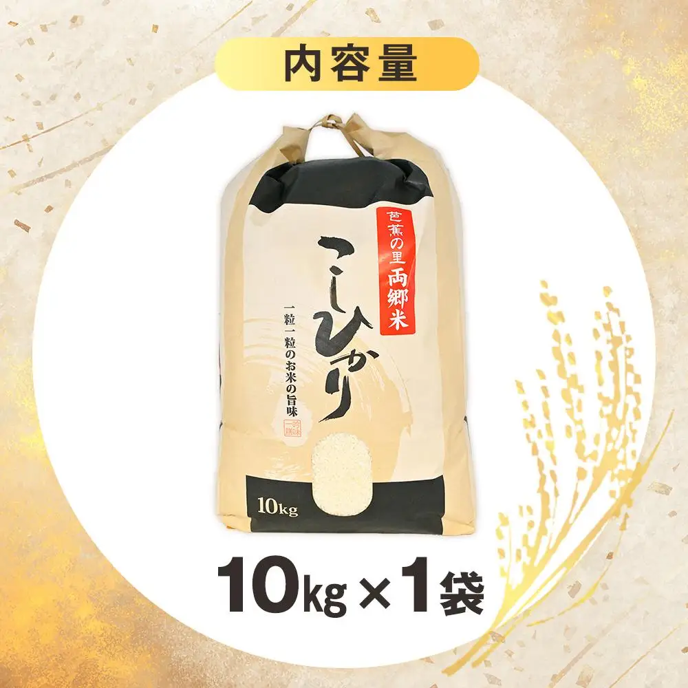 地元産 両郷米 10Kg ×1袋 ｜  お米 コシヒカリ こしひかり 栃木県 大田原市