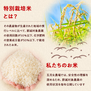 ☆農家直送のパックごはん☆五月女農場のごはん（150ｇ×20個）