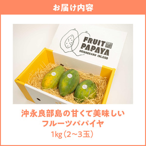 【 先行受付 】沖永良部島 の 甘くて美味しい フルーツパパイヤ 1kg（ 2～3玉 ） W051-009u 果物