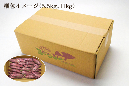 【七谷産】紅あずま 11kg（M?LLサイズ）さつまいも《順次発送》人気品種 ほくほく食感と濃厚な甘み 低温熟成 スイートポテトや天ぷら、焼き芋に 加茂市 YAGOROU ヤゴロウ さつまいも さつまいも さつまいも さつまいも