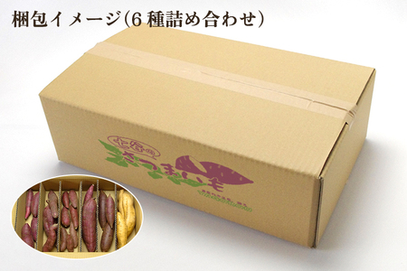 【七谷産】6種食べ比べセット5kg（M~LLサイズ）さつまいも《順次発送》人気品種 食べ比べ 濃厚な甘み 低温熟成 蒸し芋や焼き芋、スイートポテトなどのスイーツに 加茂市 YAGOROU ヤゴロウ さつまいも さつまいも さつまいも さつまいも