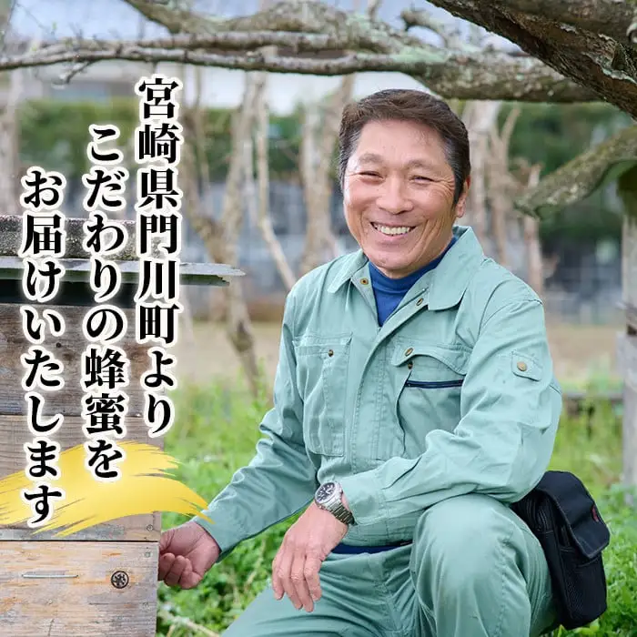 ＜数量限定＞幻の蜂蜜（1本・260g） ハチミツ  国産  非加熱  【YH-1】【安田蜂蜜】