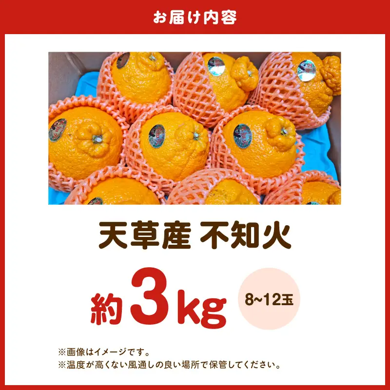 S153-001_天草産 不知火 約3kg