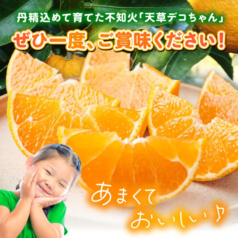 S153-002_天草産 訳あり 不知火 約5kg