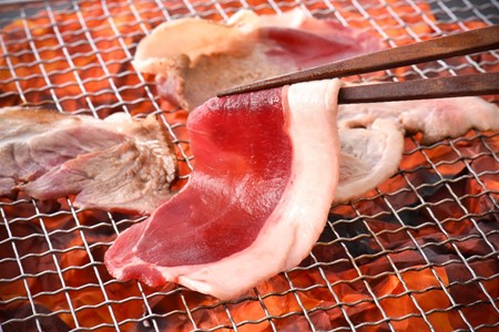 [ND002] のとしし（イノシシ）肉スライス 500ｇ