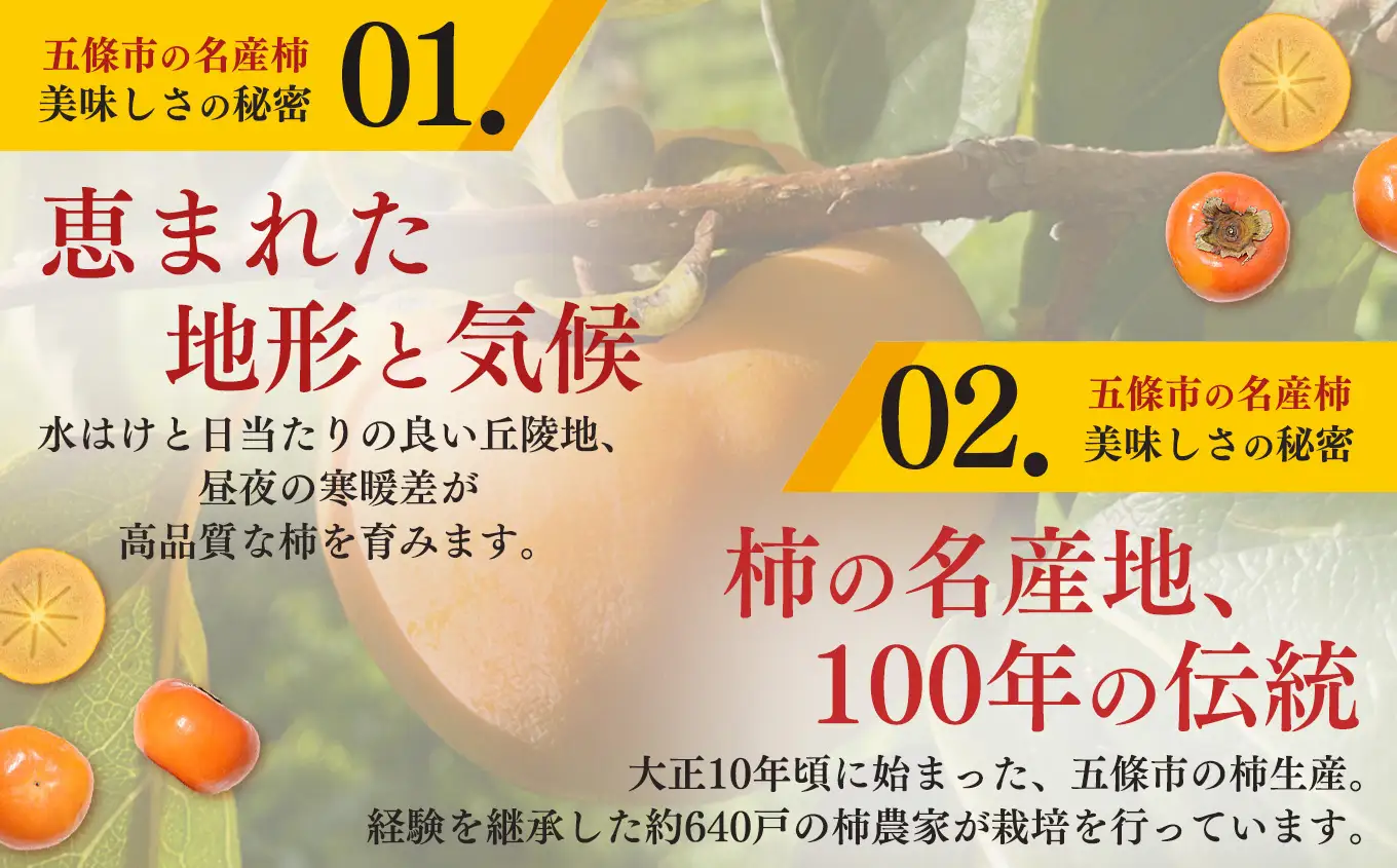 ★ 4.8 獲得 訳あり 富有柿 約 7kg ご自宅用 （ 約22個 ～ 30個 入り）| 西岡農園