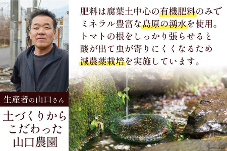 BA001 全国にファンがいる高級フルーツトマト アイコ どっさり！3kg