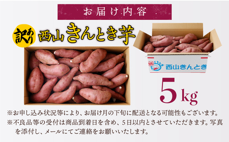 さつまいも 人気 西山きんとき芋 サツマイモ 訳あり 5kg
