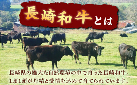 【長崎和牛】牛すじ「生」 約1.0kg(250g×4パック)【肉のあいかわ】[QAA007]