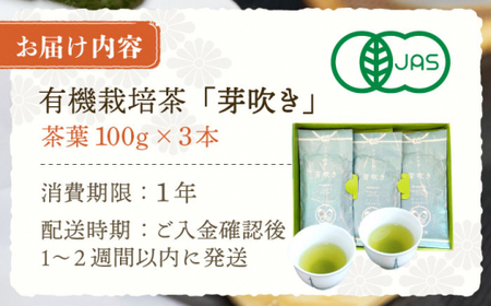 【あっさりとした有機栽培茶】さざの有機栽培茶 芽吹き 100g×3本セット【宝緑園】[QAH006]  お茶 茶葉 長崎