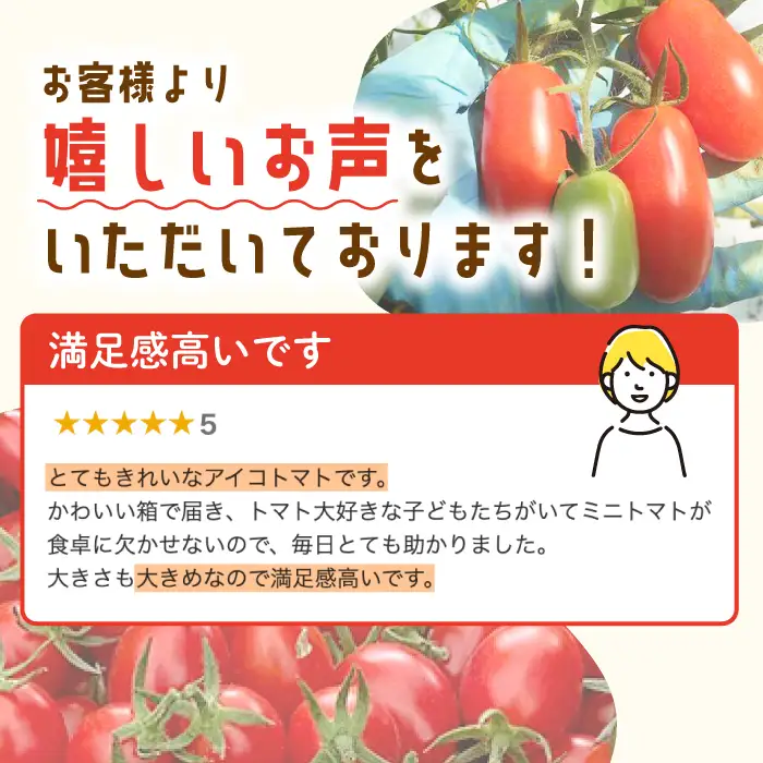 先行予約 ミニトマト アイコ 1kgトマト [C&T farm] [QBG001]