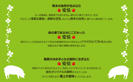 【定期便12回】火の本豚 満喫セット（ ロース 切り落とし ミンチ ） 1350g 豚肉