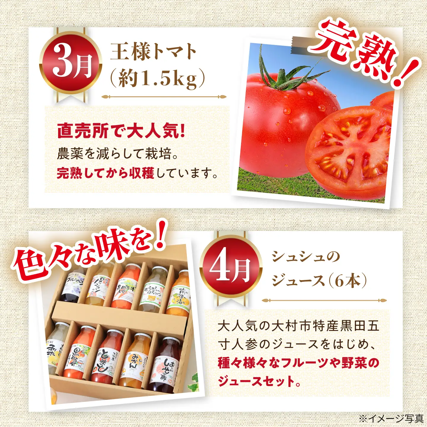 バラエティ定期便 人気セレクトBコース 12回 大村市産  [ACAA123]