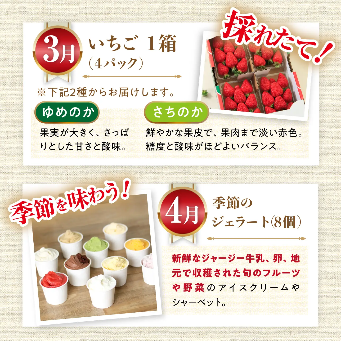 バラエティ定期便【12回】プレミアム厳選コース[ACAA126]