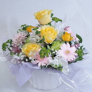 【定期便】【全6回定期便】季節の花のアレンジメント定期便　1年間！2か月に1度お花が届きます【11100-0734】