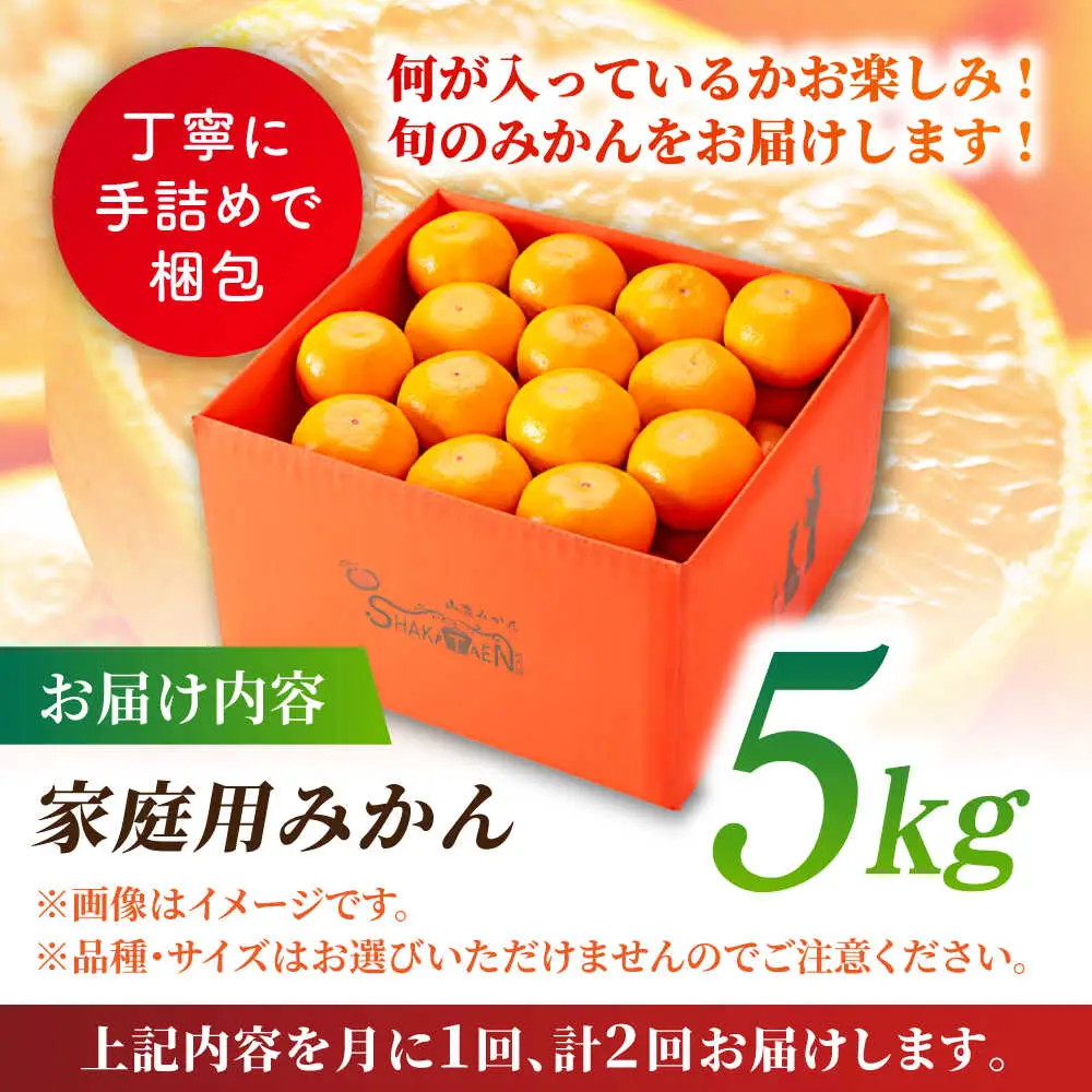 【先行予約】【2回定期便】【訳あり】家庭用 みかん 約5kg 詰め合わせ 柑橘【合同会社 社方園】[ZBZ034]