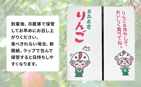 りんごサンふじ農家直送 訳あり家庭用 青森県産 りんご【約5kg】