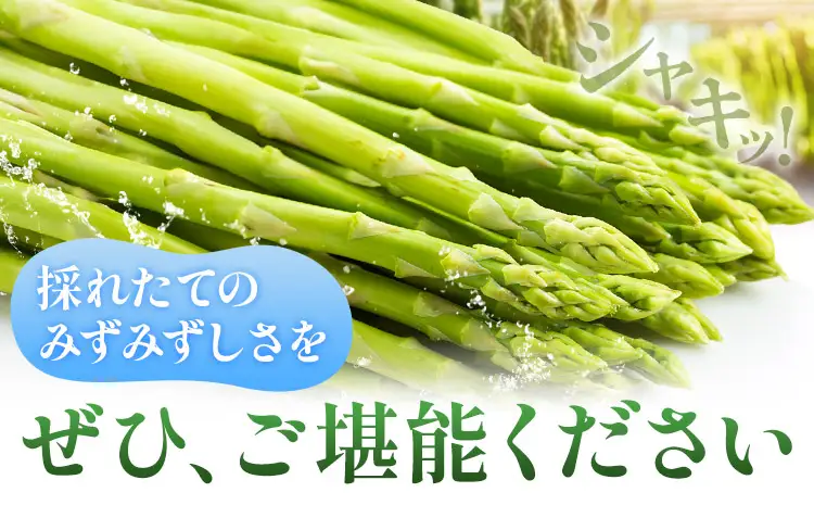 【秀品】アスパラガス L サイズ 2kg (500g×4) アスパラ 北海道