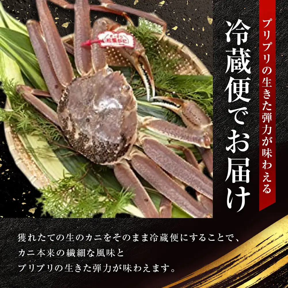 【先行予約】松葉がに 訳アリ ボイル 2枚 計 1.6kg 以上 年明け配送 松葉がに