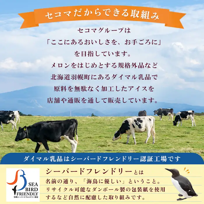 【Secoma】北海道アイスクリーム6個セット 3種×各2個（バニラ・メロン・チョコ） アイス  ふるさと納税 北海道 アイス 食べ比べ セット オンライン申請 オンライン バニラ メロン チョコ アイス 羽幌町 羽幌【01106】