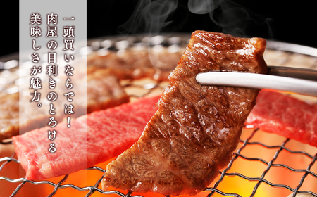 ひらかわ牛 焼肉用味付カルビ約800g