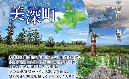 クラフトビールWHITELINESIPA北海道産クラフトビール【12本】