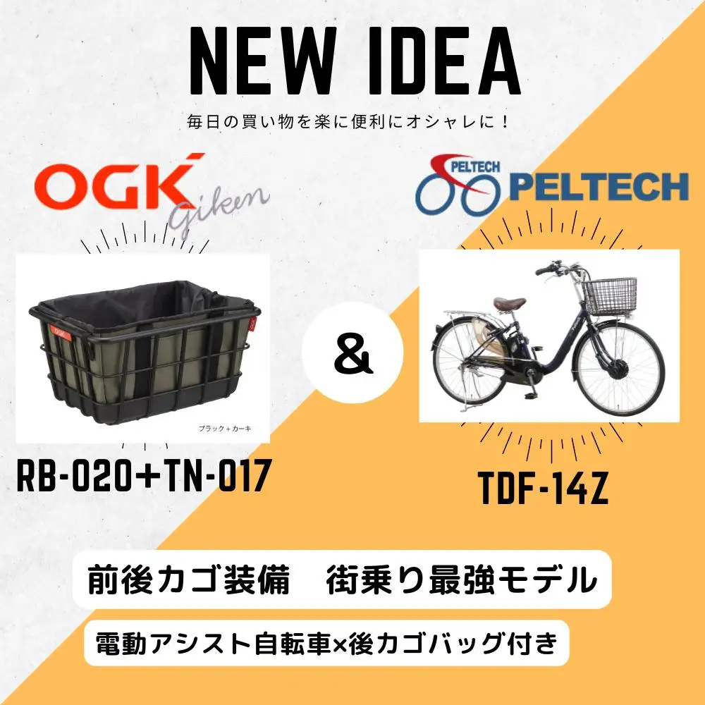 PELTECH ペルテック 100％完成 電動自転車 26型 自転車 ブラウン 後ろ