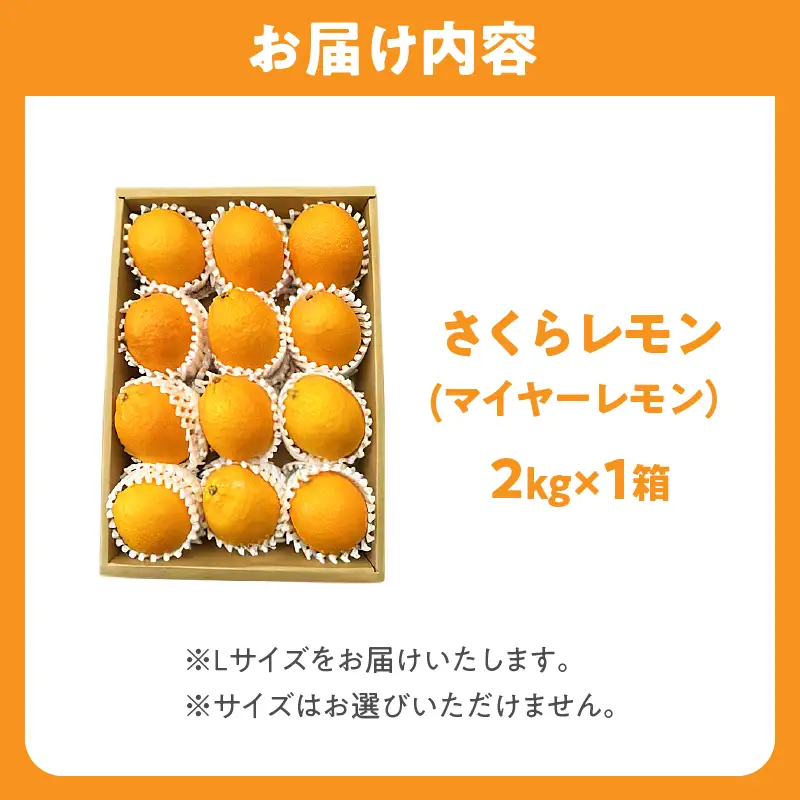 先行予約 都農町産さくらレモン(マイヤーレモン)計2kg フルーツ 果物 柑橘 レモン 国産_T002-0035