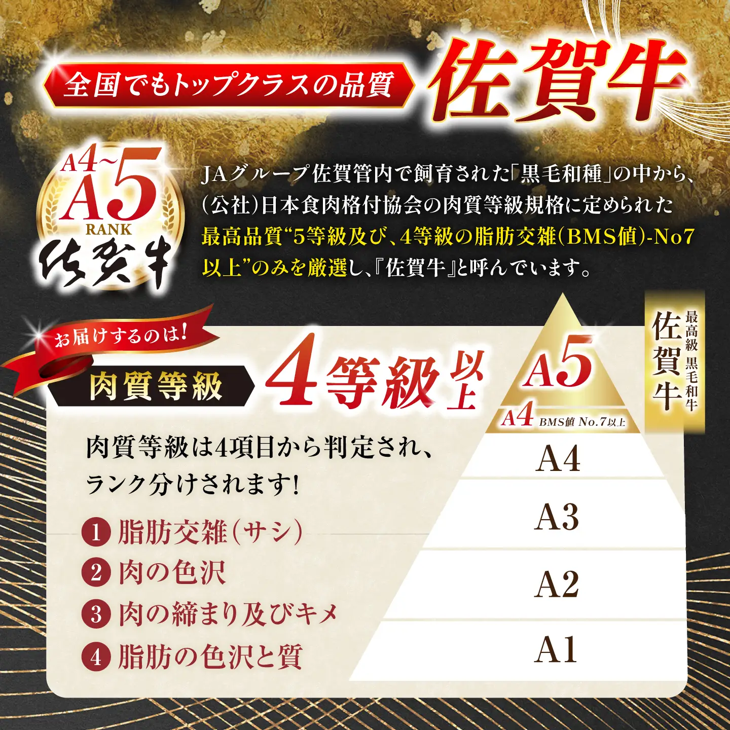 【定期便】 牛肉切り落とし 佐賀牛 総計6.0kg NAB034 牛肉切り落とし 全12回